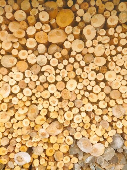 El Telar Arte Y Naturaleza Prádena Zewnętrze zdjęcie